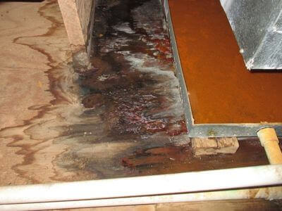 About water damage restoration service - commercial water damage restoration experts in Minneapolis
